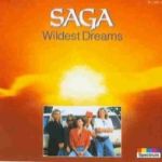 1995-wildestdreams